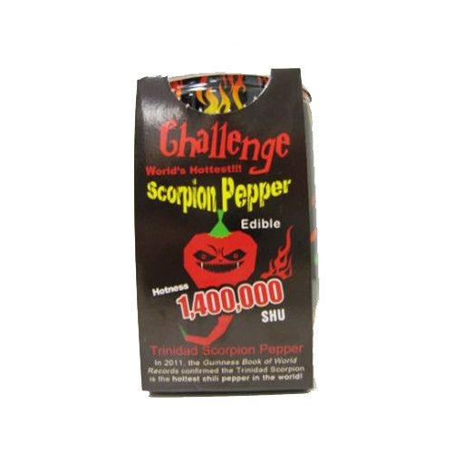 Magis Plant - Super Hot Scorpion Pepper Plant - Single Can